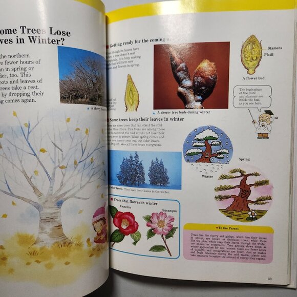 Flowers & Trees Child's First Library of Learning Hardcover Book Science Stem Ho - Picture 10 of 16